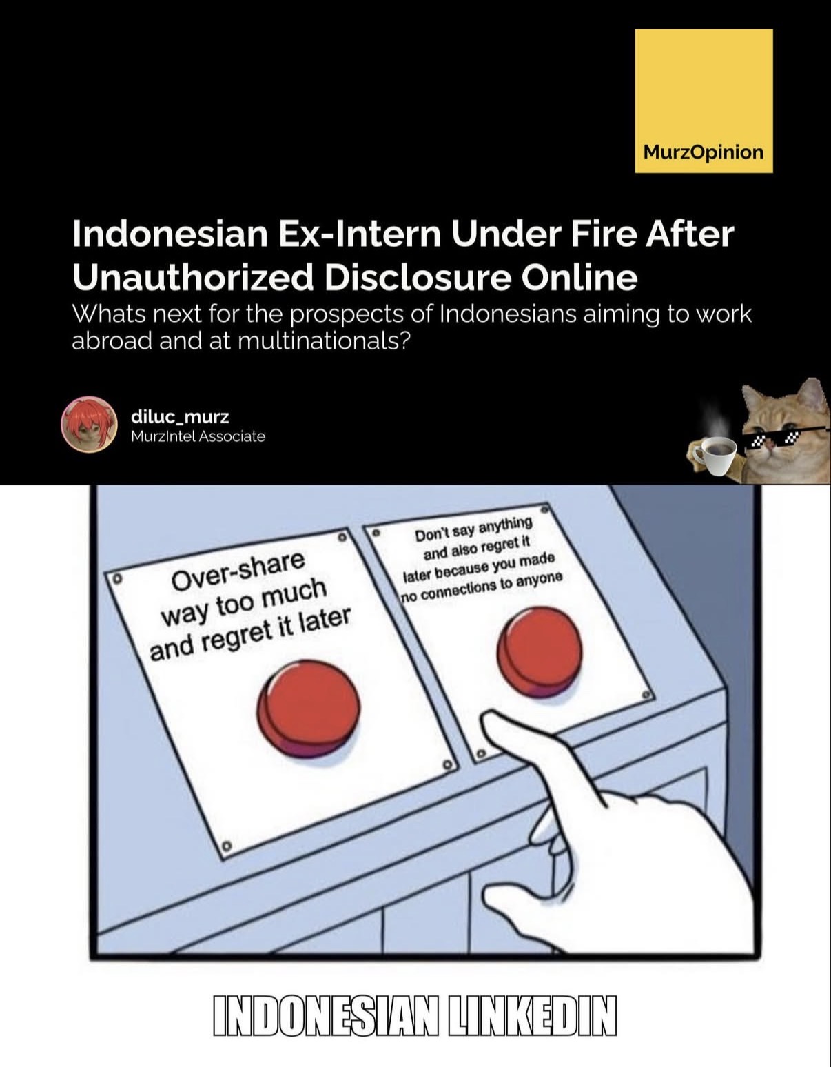 Annex image 1: one of the "MurzOpinion" editorial slides about my case, September 2023